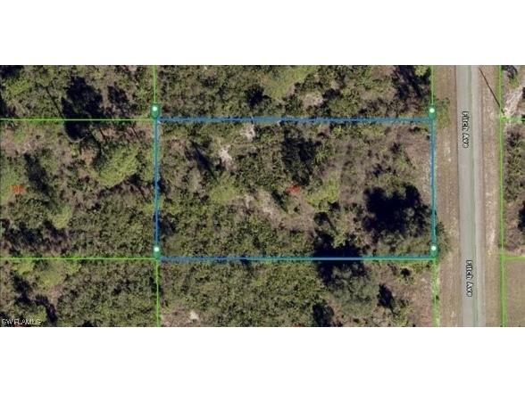 417 Fitch Avenue Lehigh Acres FL 33972 224019547 image1