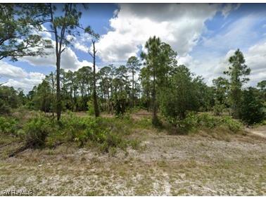 417 Johns Avenue Lehigh Acres FL 33972 223079094 image1