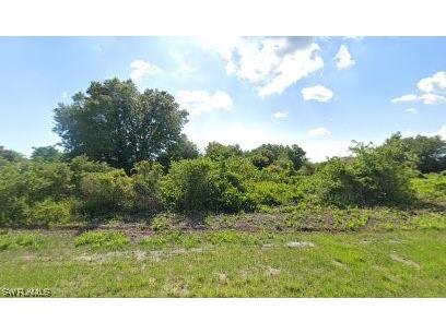 418 Pinehurst Avenue Lehigh Acres FL 33974 223036638 image1