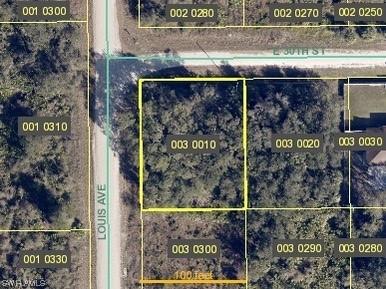 4182 E 30th Street Alva FL 33920 224008979 image1