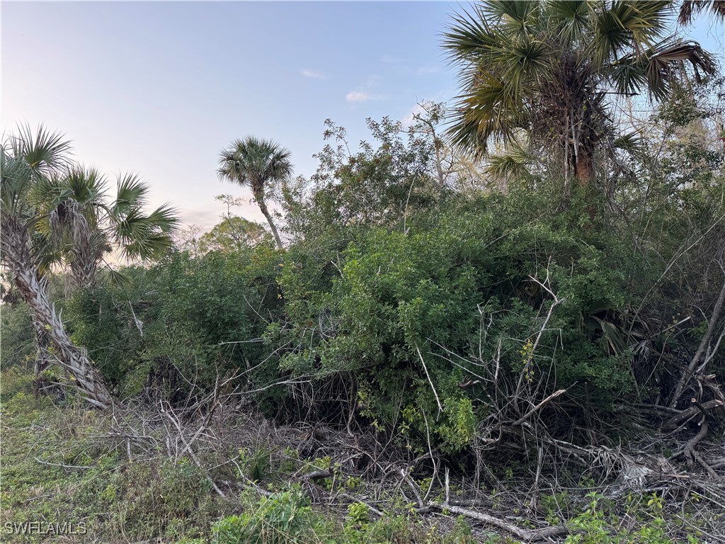 4187 36th Avenue SE Naples FL 34117 225063532 image2