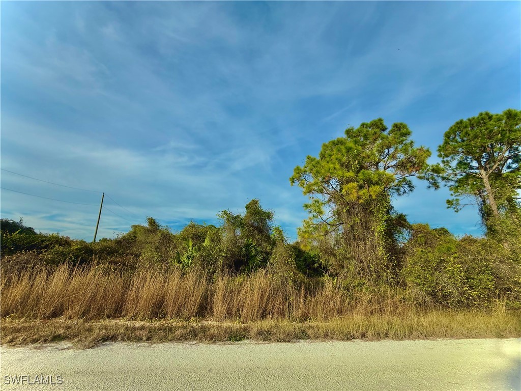 4187 E 31st Street Alva FL 33920 225021369 image1