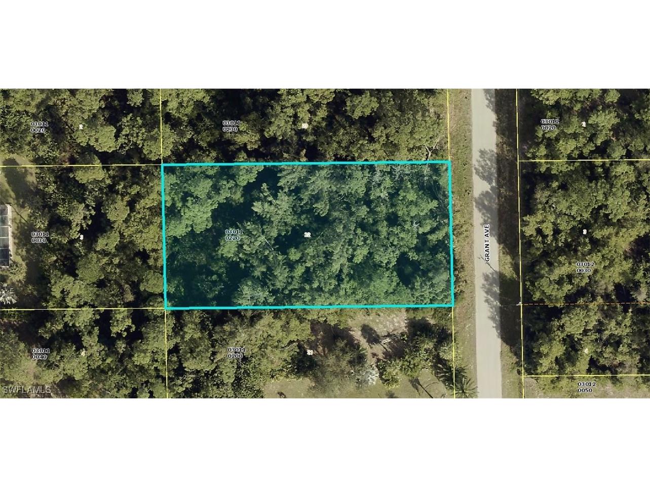 419 Grant Avenue Lehigh Acres FL 33972 224090572 image1