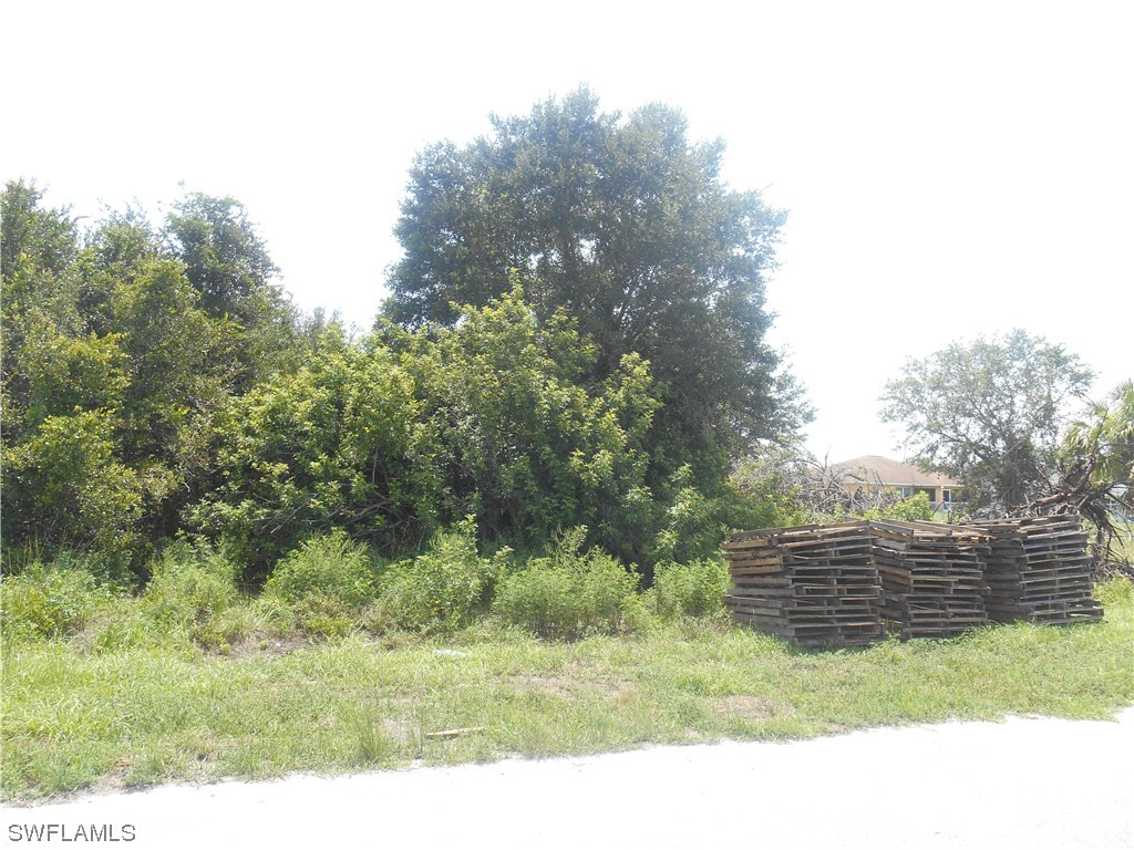 419 Pinafore Avenue Lehigh Acres FL 33974 223053127 image1