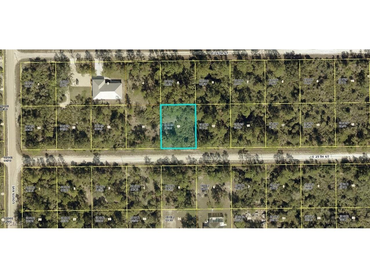 4199 E 25th Street Alva FL 33920 2025009890 image1