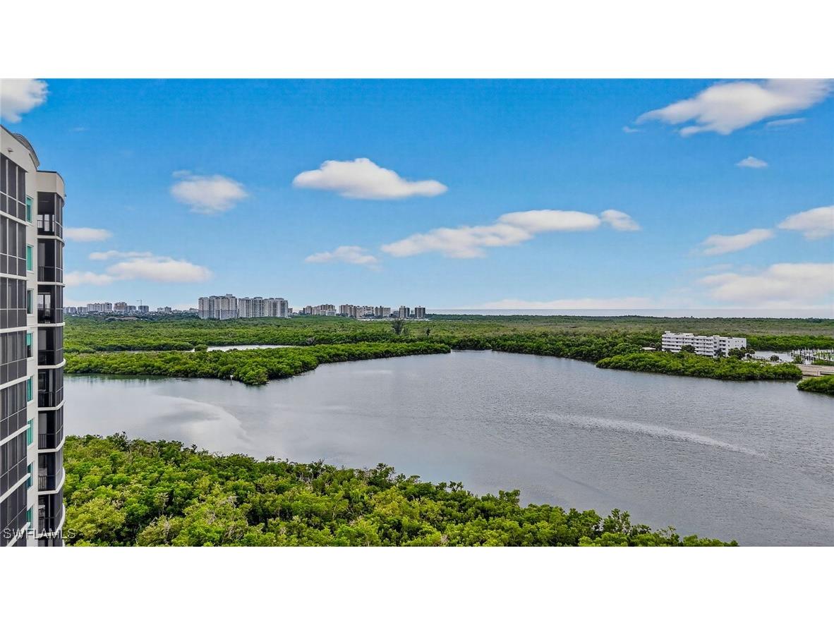 420 Cove Tower Drive #401 Naples FL 34110 225076856 image40