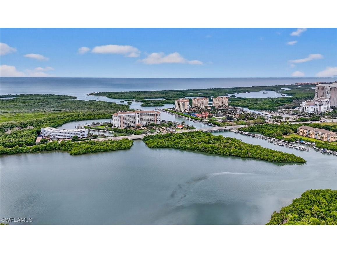 420 Cove Tower Drive #401 Naples FL 34110 225076856 image48