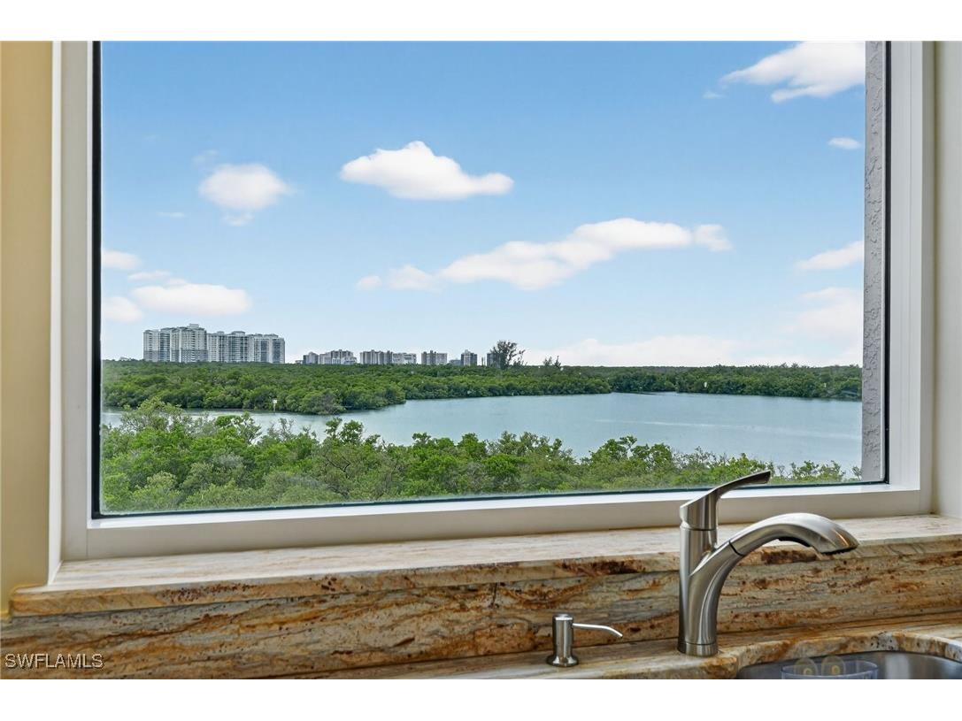 420 Cove Tower Drive #401 Naples FL 34110 225076856 image7