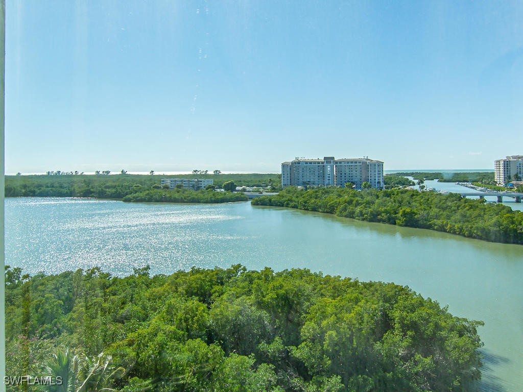 420 Cove Tower Drive #804 Naples FL 34110 225077875 image19