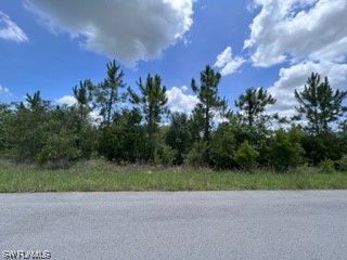 420 Yolanda Street Lehigh Acres FL 33972 223024673 image1