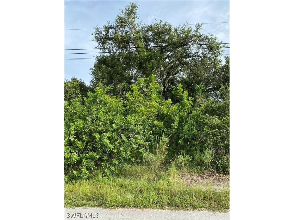 4202 18th Street SW Lehigh Acres FL 33976 223054615 image1