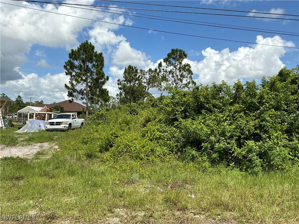 4203 Sally Avenue S Lehigh Acres FL 33976 224087633 image1