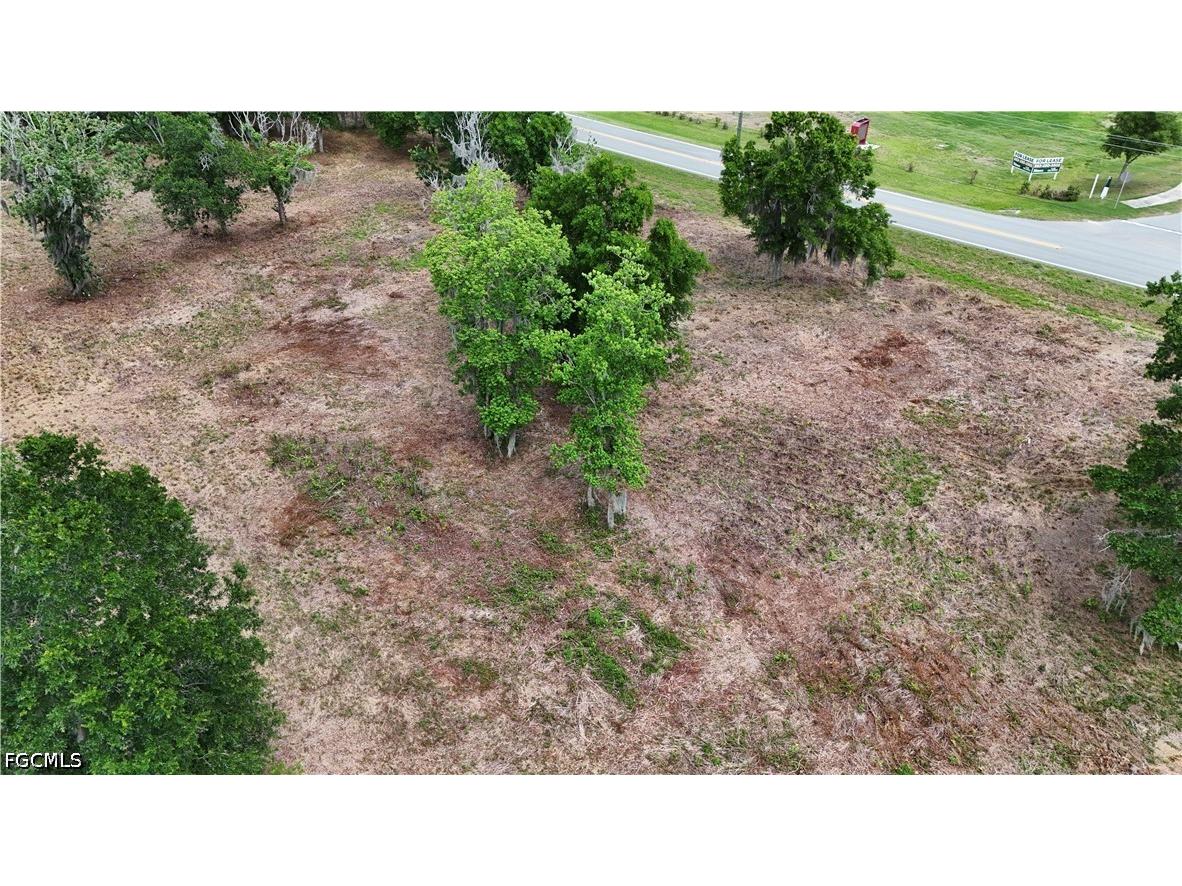 4203 Waring Road Lakeland FL 33811 2026022436 image3