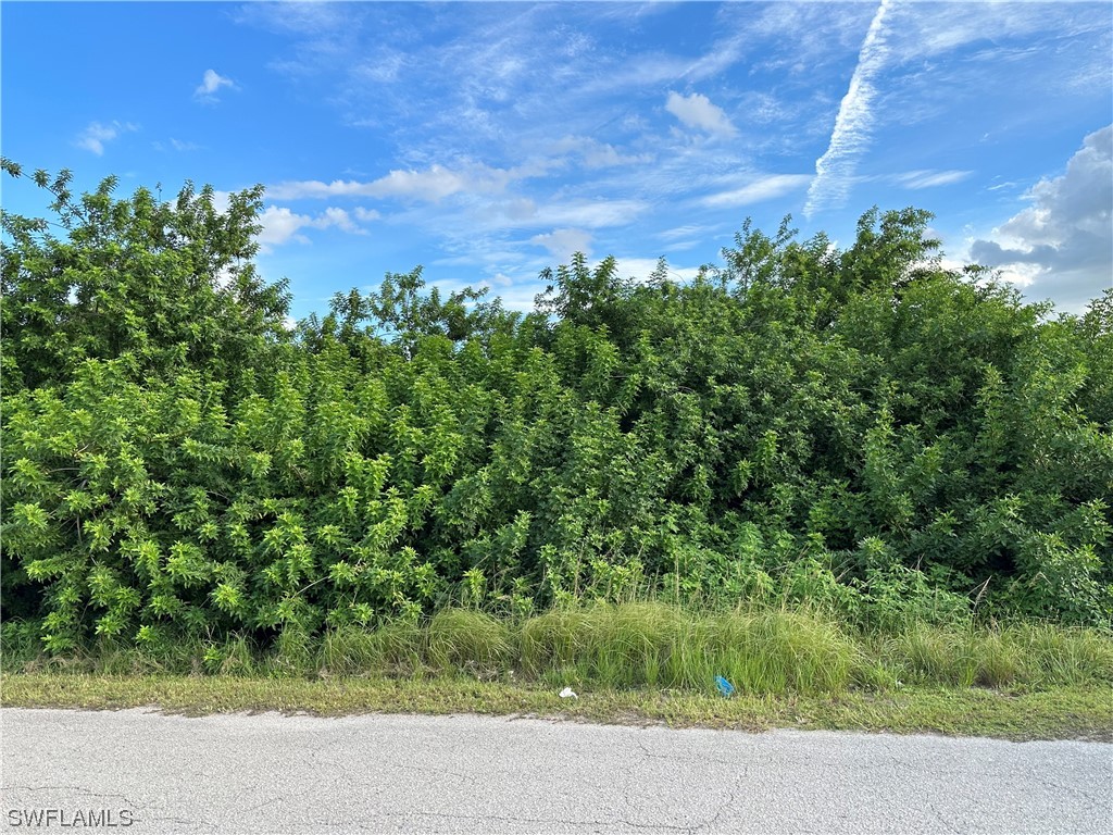 4205 14th Street SW Lehigh Acres FL 33976 223064538 image1