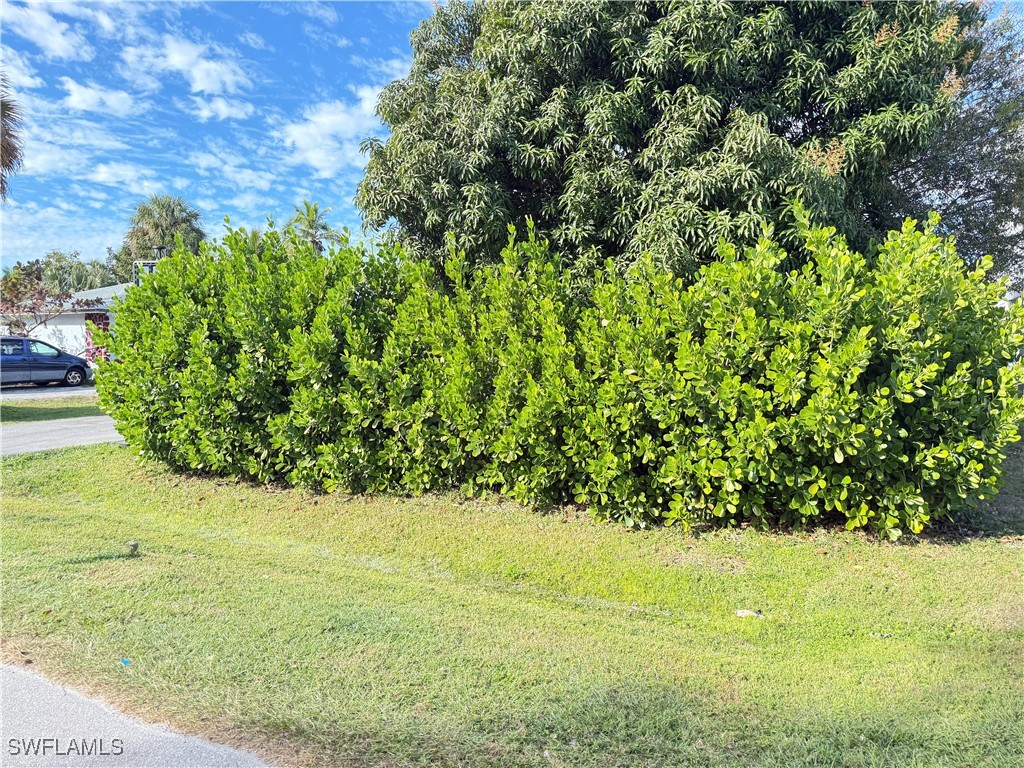 4207 Cindy Avenue Naples FL 34112 226000442 image4