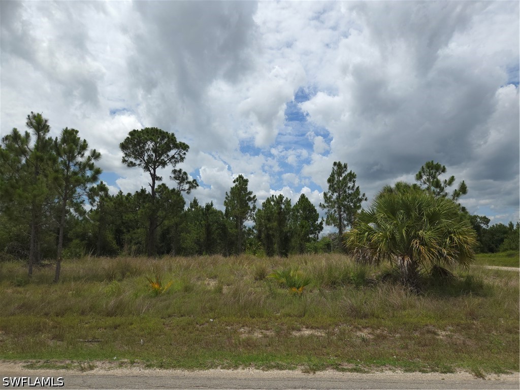 4207 E 16th Street Lehigh Acres FL 33972 226021393 image1