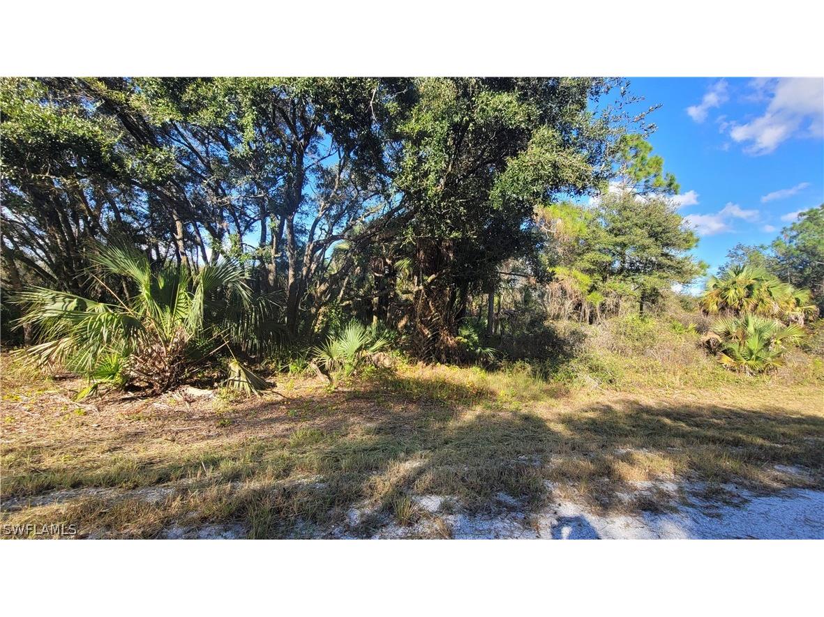 4207 E 31st Street Alva FL 33920 221084838 image1