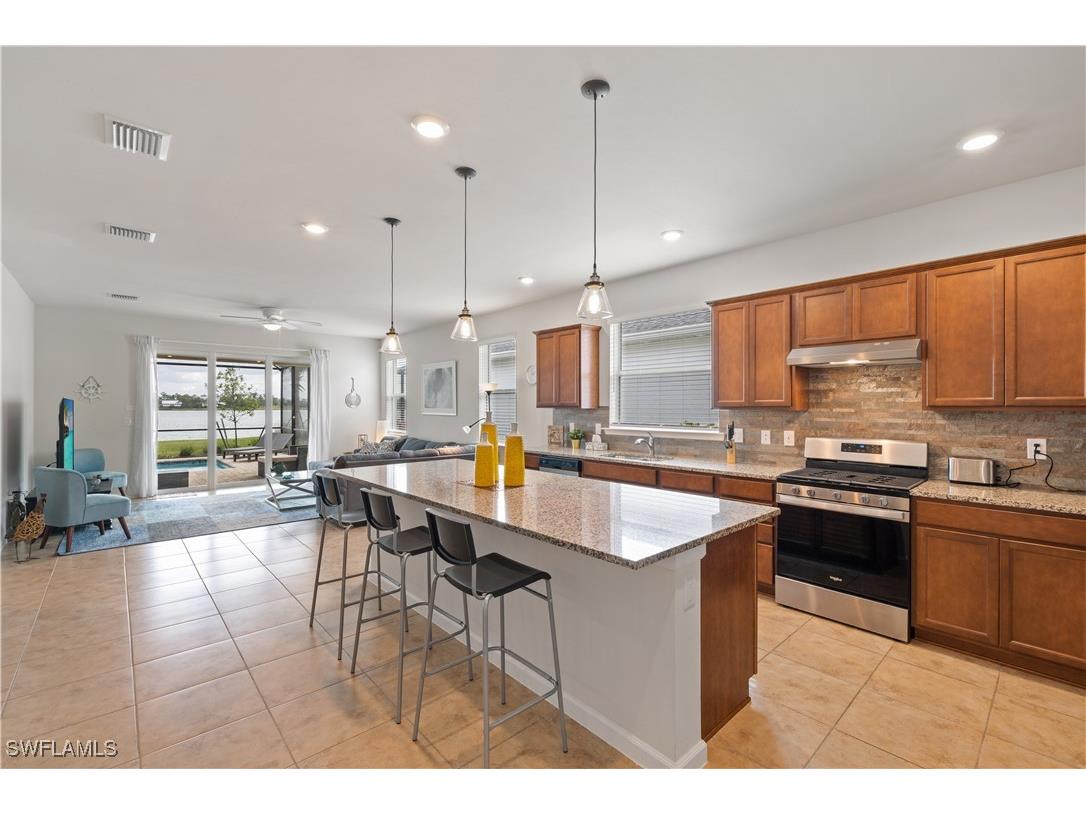 42098 Journey Drive Babcock Ranch FL 33982 225080251 image9