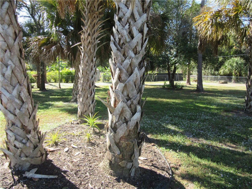 421 Broadway Avenue Lehigh Acres FL 33972 2025022639 image27