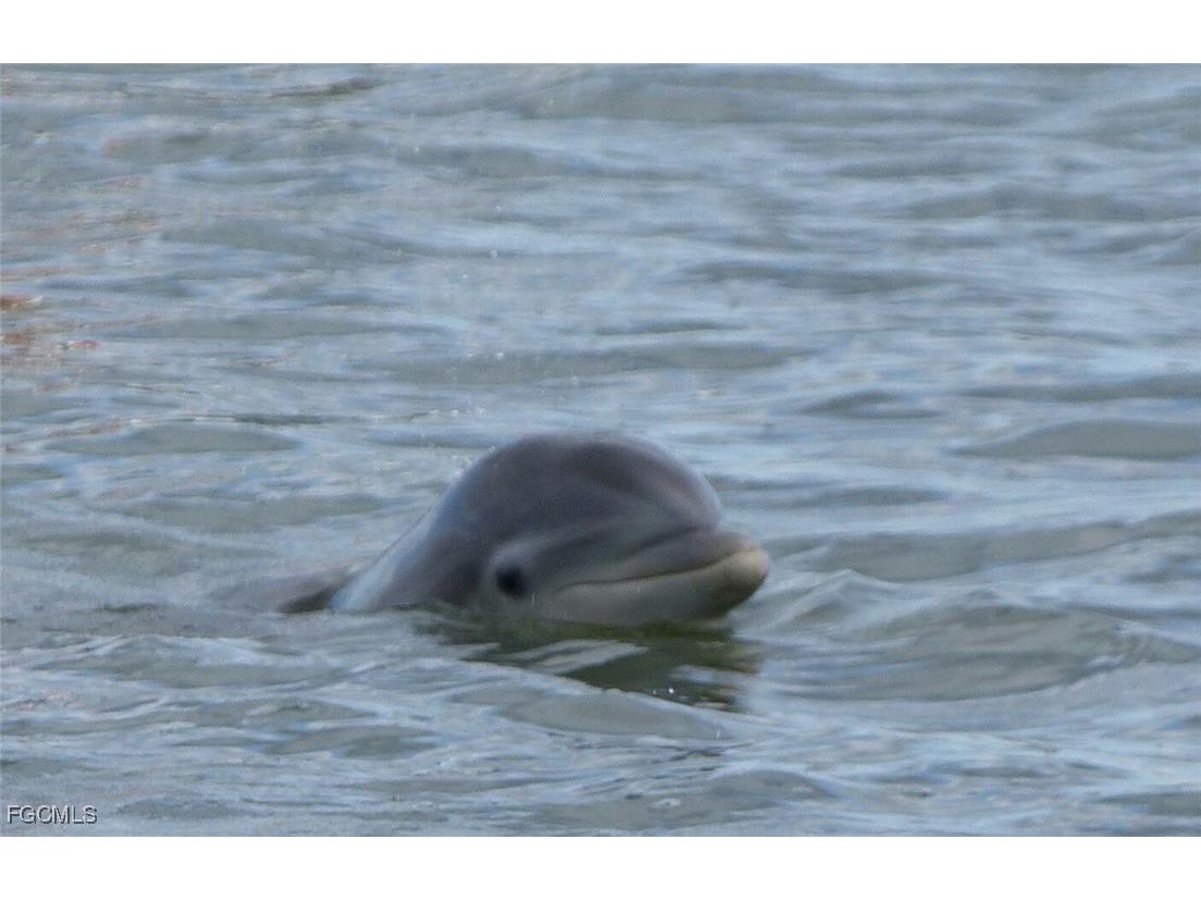 4210 Steamboat Bend #201 Fort Myers FL 33919 2025017586 image41