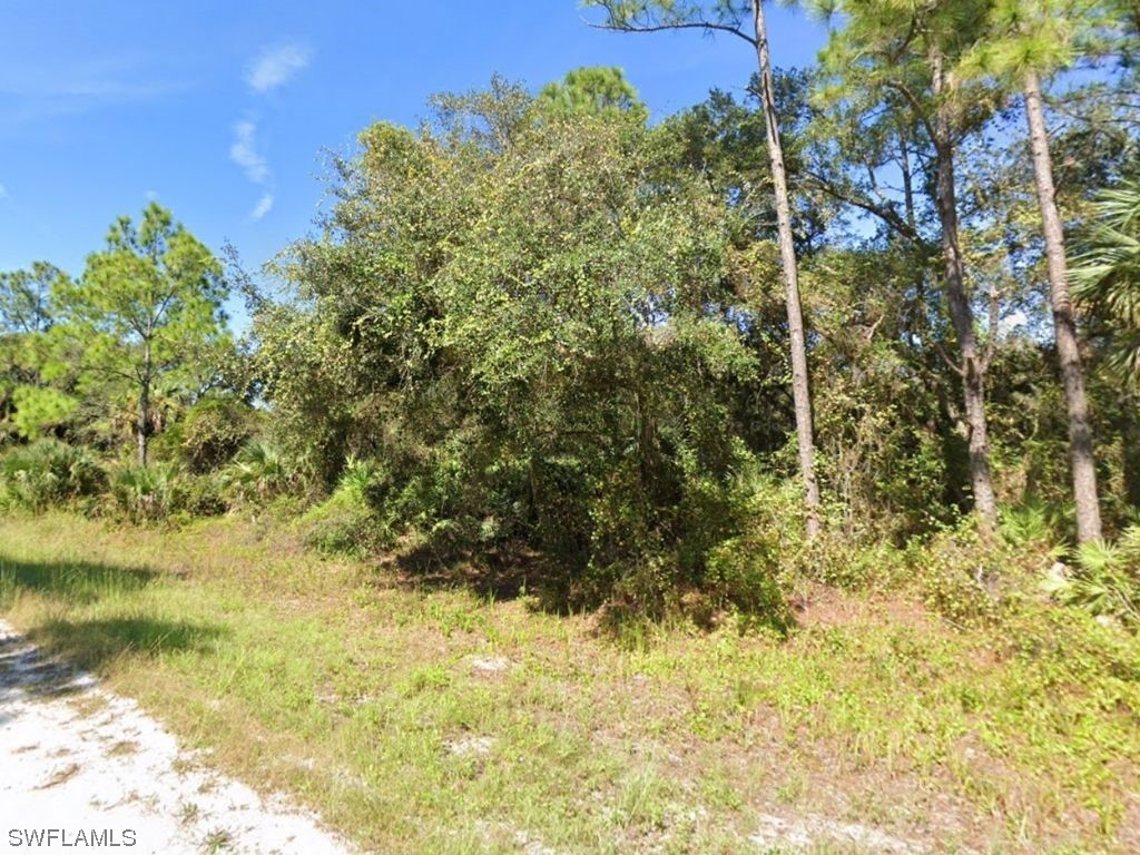 4211 E 31st Street Alva FL 33920 223056162 image1