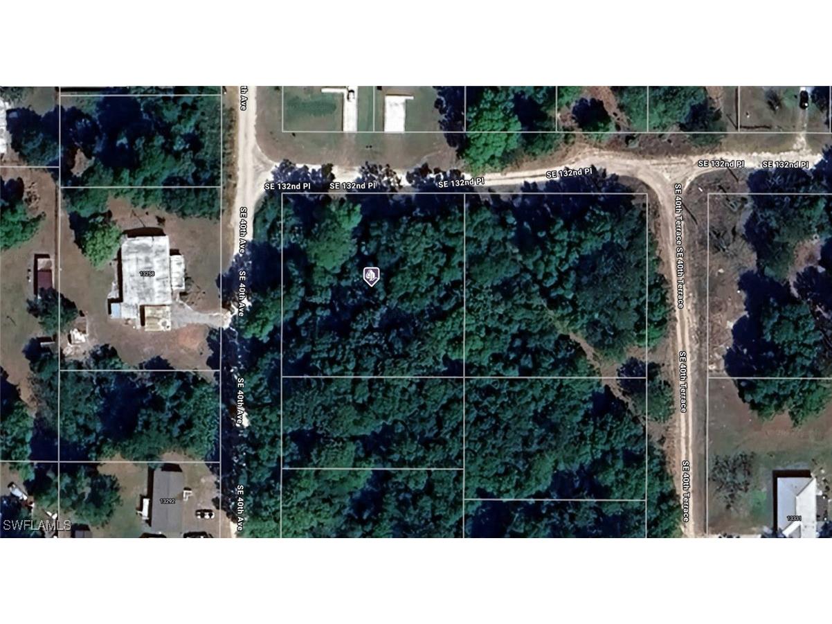 4214-161-001 SE 132nd Place Bellview FL 34420 225024590 image1