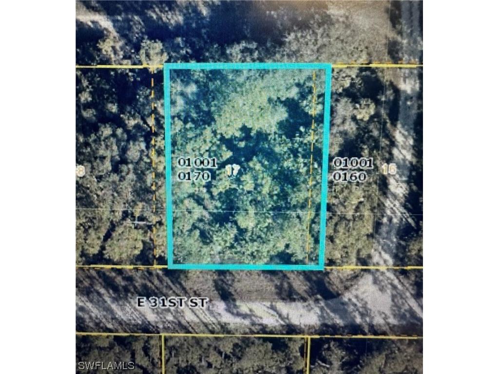 4219 E 31st Street Alva FL 33920 223053651 image1