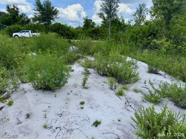 422 Caywood Avenue S Lehigh Acres FL 33974 2026013819 image13