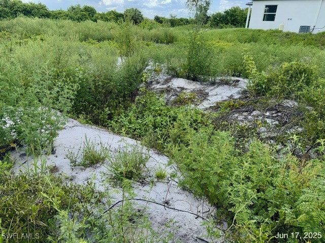 422 Caywood Avenue S Lehigh Acres FL 33974 225057020 image11