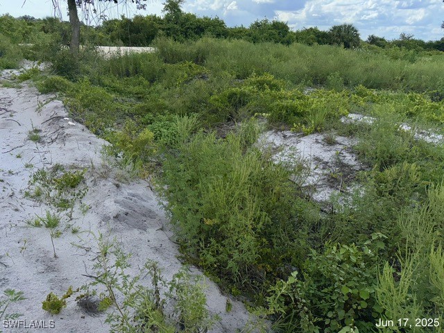 422 Caywood Avenue S Lehigh Acres FL 33974 225057020 image12