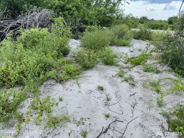 422 Caywood Avenue S Lehigh Acres FL 33974 225057020 image14