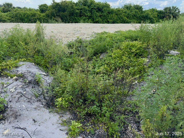 422 Caywood Avenue S Lehigh Acres FL 33974 225057020 image15