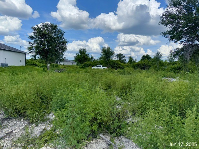 422 Caywood Avenue S Lehigh Acres FL 33974 225057020 image19