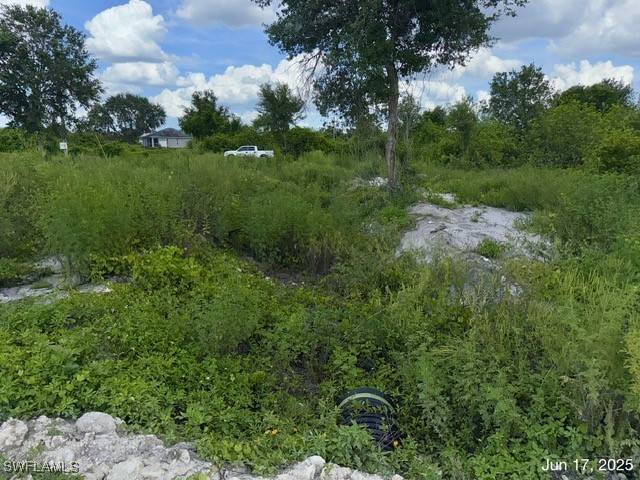 422 Caywood Avenue S Lehigh Acres FL 33974 225057020 image20