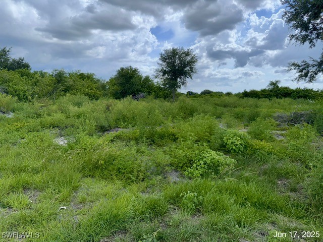 422 Caywood Avenue S Lehigh Acres FL 33974 225057020 image22