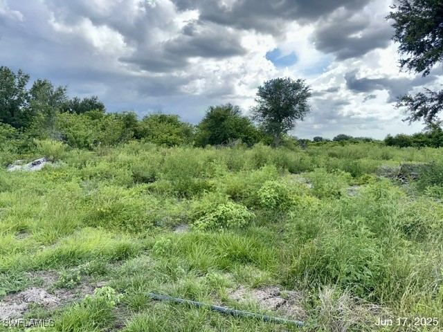 422 Caywood Avenue S Lehigh Acres FL 33974 225057020 image23