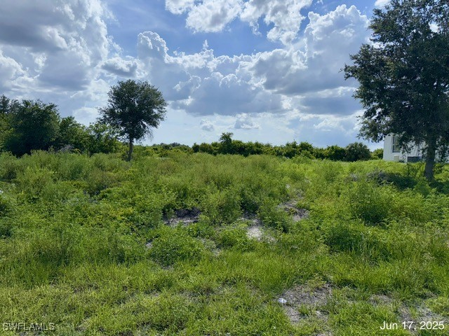 422 Caywood Avenue S Lehigh Acres FL 33974 225057020 image6