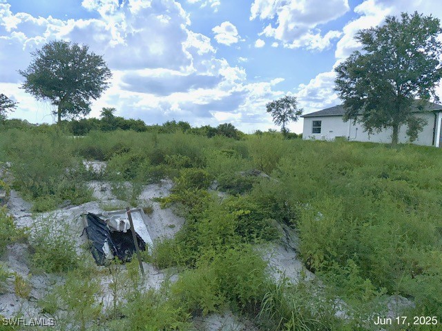 422 Caywood Avenue S Lehigh Acres FL 33974 225057020 image7