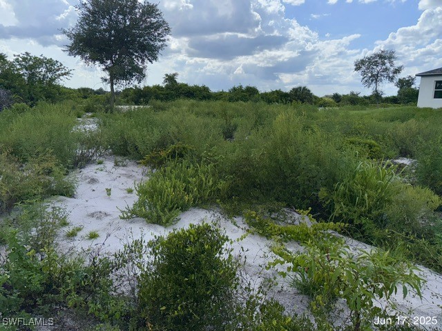 422 Caywood Avenue S Lehigh Acres FL 33974 225057020 image9