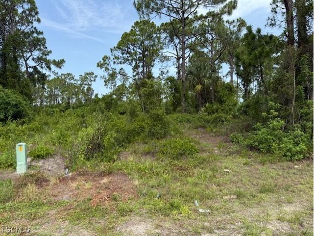 422 Pauline Avenue Lehigh Acres FL 33974 2025025921 image3