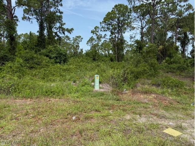 422 Pauline Avenue Lehigh Acres FL 33974 225059324 image2