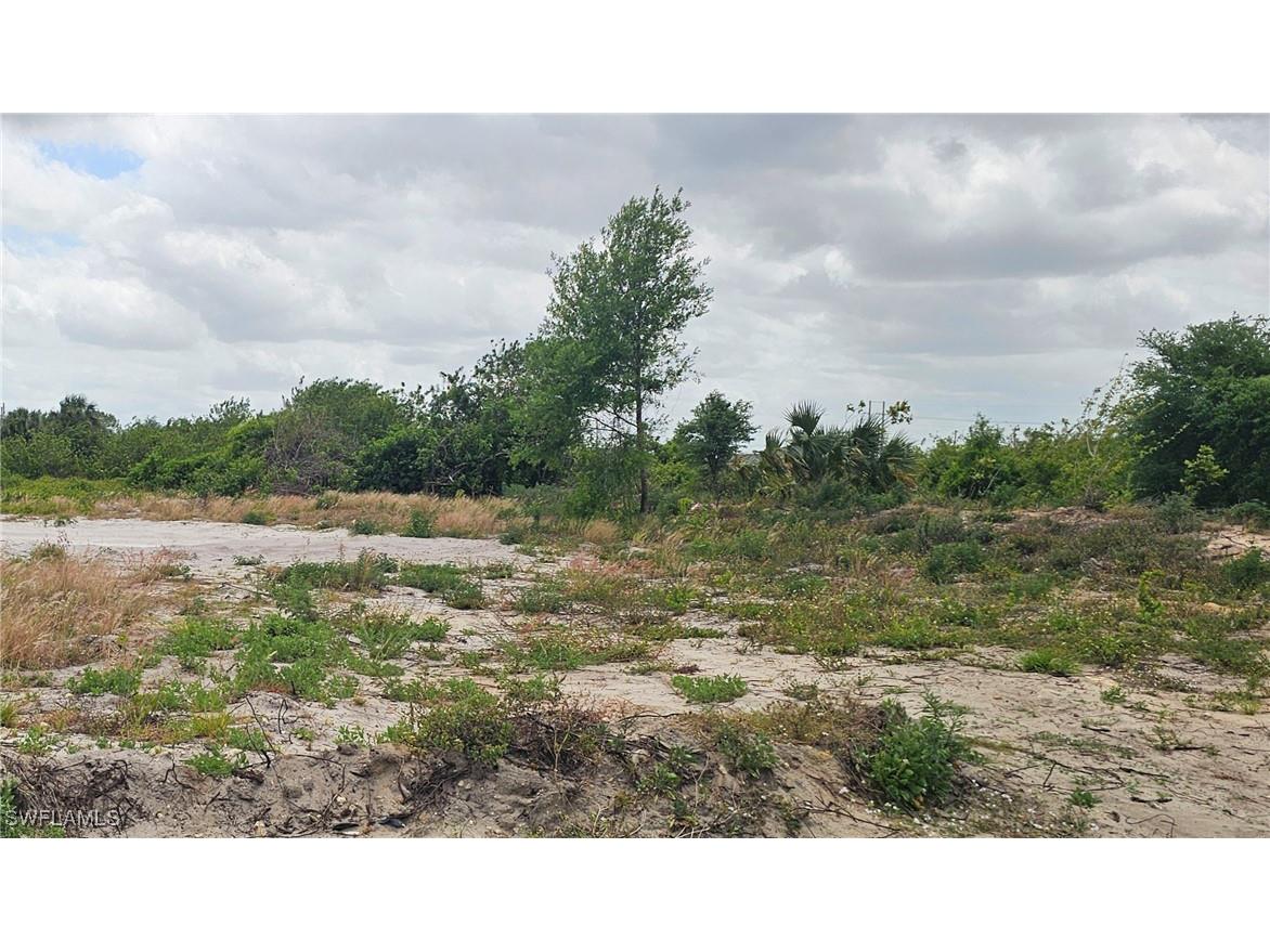 4221 18th Street SW Lehigh Acres FL 33976 225036926 image1