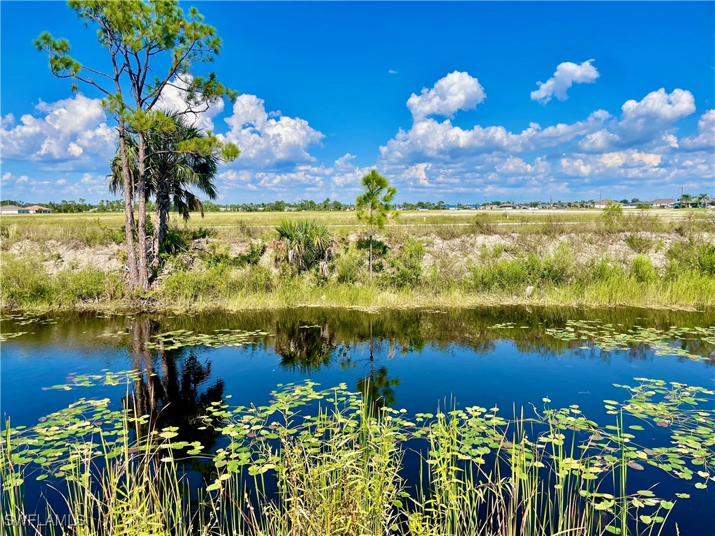 4221 NE 11th Avenue Cape Coral FL 33909 225061296 image1