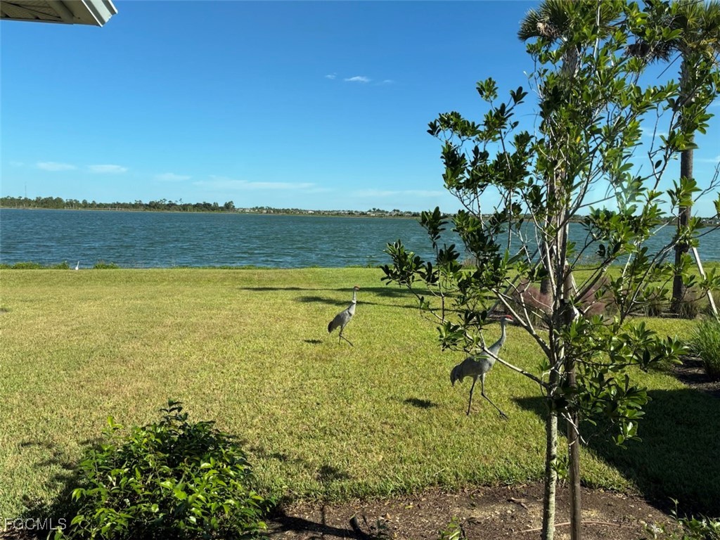 42211 Edgewater Drive Punta Gorda FL 33982 2025021260 image3