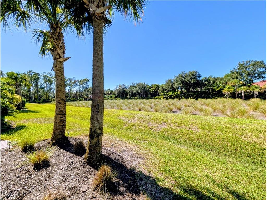 4222 Sonoma Oaks Circle Naples FL 34119 2025021501 image10