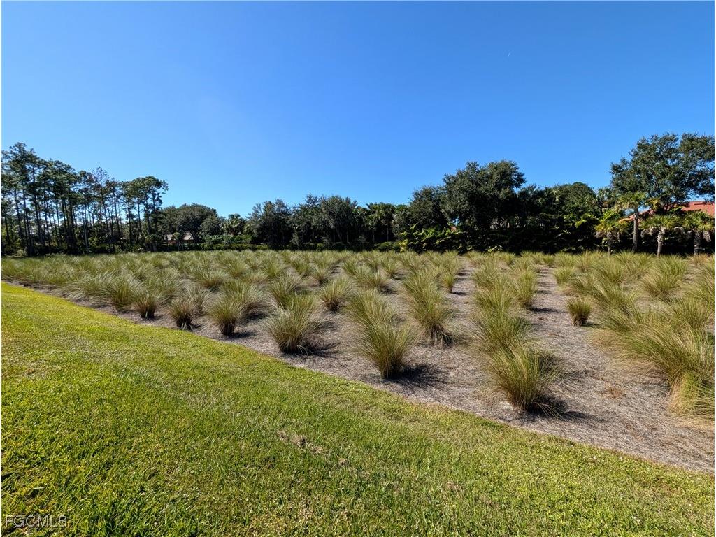 4222 Sonoma Oaks Circle Naples FL 34119 2025021501 image11