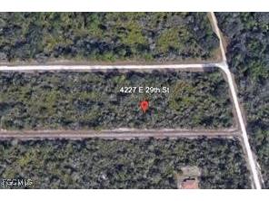 4227 E 29th Street Alva FL 33920 2026002697 image3