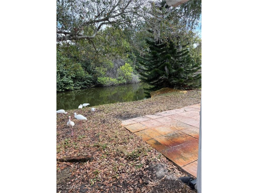 4232 Tamargo Drive New Port Richey FL 34652 2026003740 image15