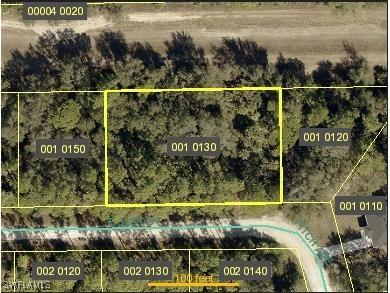 4235 E 31st Street Alva FL 33920 225058300 image2