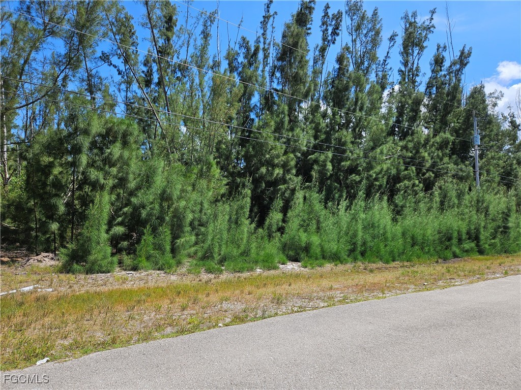 4235 NW 24th Terrace Cape Coral FL 33993 2025003498 image3